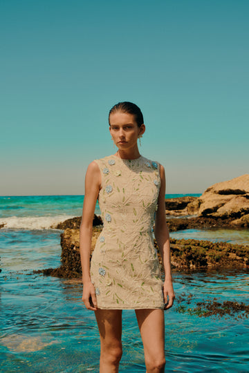 knee length dresses for ladies Rachel Gilbert